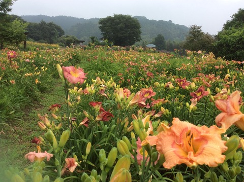 AC52790A-CEDE-4AE0-BF14-B5CE46F520E0