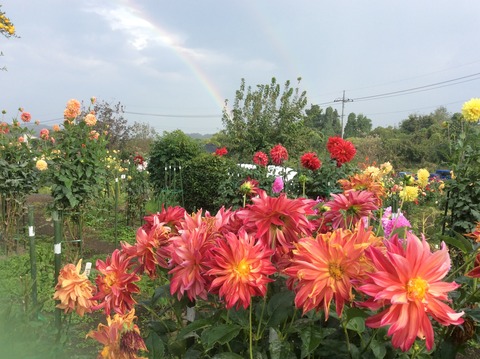 E9C1C72B-1A05-4624-A4BA-C88113F59517