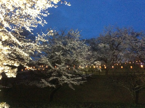 3C1C9F12-6A7E-4166-88F6-7ADE040B474E