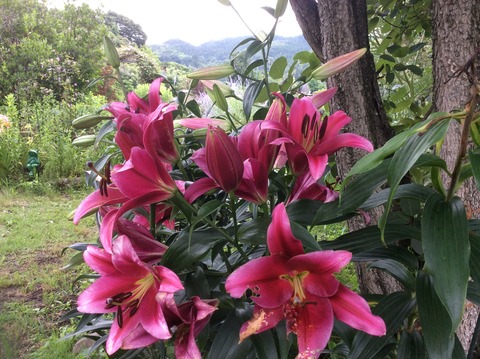 979AF7FD-CDA4-43D9-8599-8FFE94FBC27E