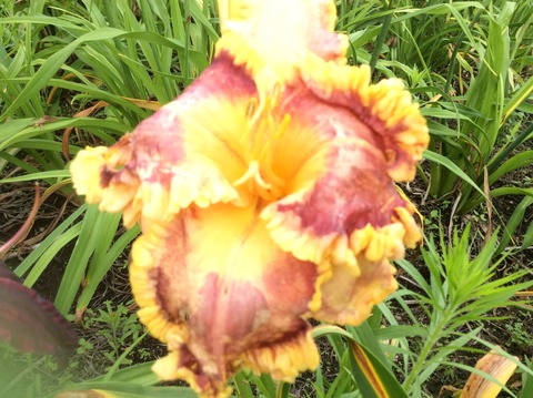 2E17AB3C-F785-456D-B2A7-F3C4F2A96D20