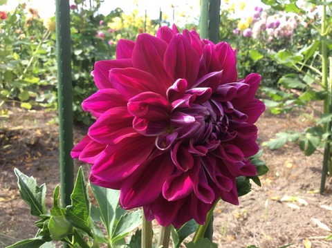 1B22F526-6410-49F8-9A60-3152138AF388