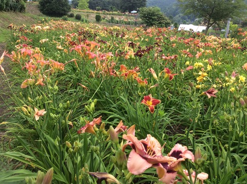 22D1FC1E-BBC3-4AAD-B2AD-C6F8C1792201