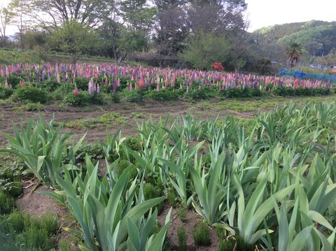 22D6EFC9-59D8-4483-9198-9FFABA1275FB