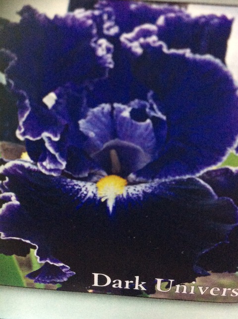 17007361-9E7C-4142-8CB5-29C6342AE746