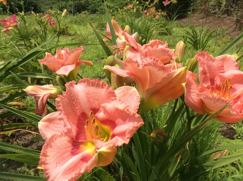 59D04AF8-71B1-4D3F-9E59-17EDA59928CC