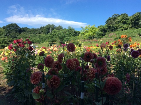 50950236-ACC7-43EE-9DA9-AAC958298120