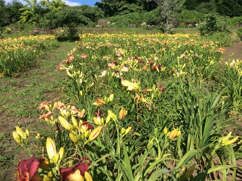 1D829561-BB1C-46B0-80E7-AA2326C24676