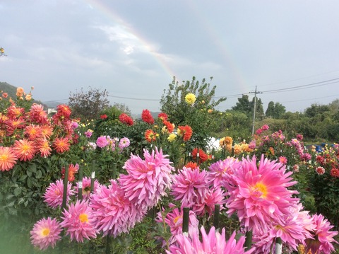 E3703DBA-CD56-4301-BD7C-1A41D0BE60A7