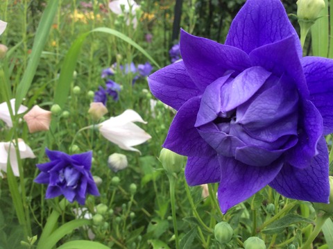 78735675-790C-4F9F-BA30-92A7B46E1907