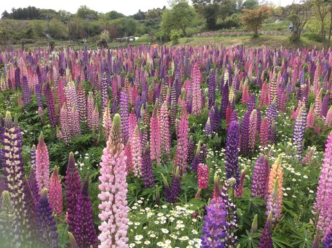 A3591FBB-DC06-4E31-97CE-82682262541C