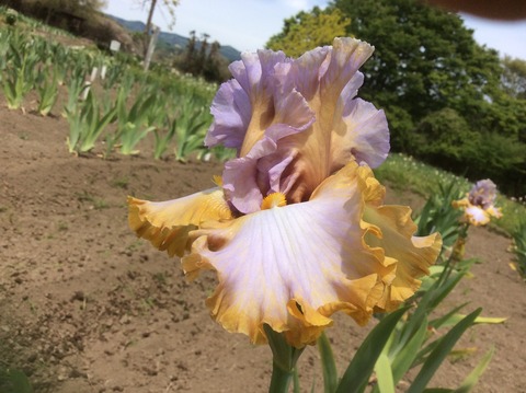 185D0B01-9833-4F85-AF0E-4C84A4ACB330