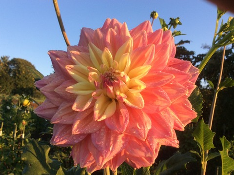 B8F40C90-3872-46AB-BD7E-E213A8D58B03