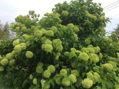 CAD69414-1F79-45E3-A279-098FF453EF4C