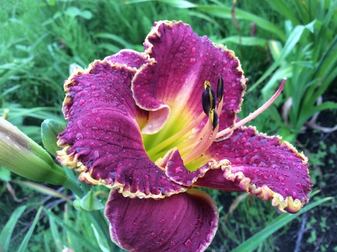 8CD4F487-E533-4D35-878B-A4D20A5DFAE8