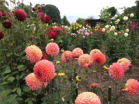 86D66C58-3645-49E2-97B8-776994AB2B98