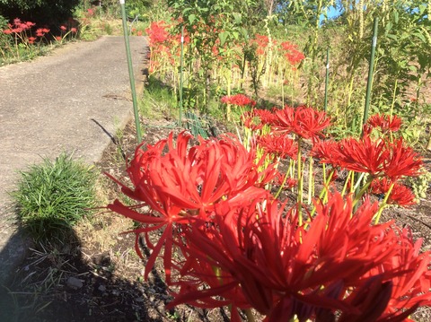 70B3B8F1-8CC3-4487-956D-292E62205E8B