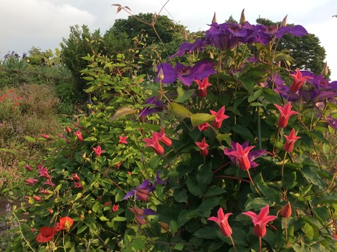 332B9276-E669-4242-9FCB-2C595A986F9C