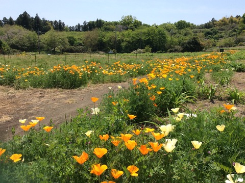 D31BF9B3-64B8-48F0-B548-E6CEB85E4905