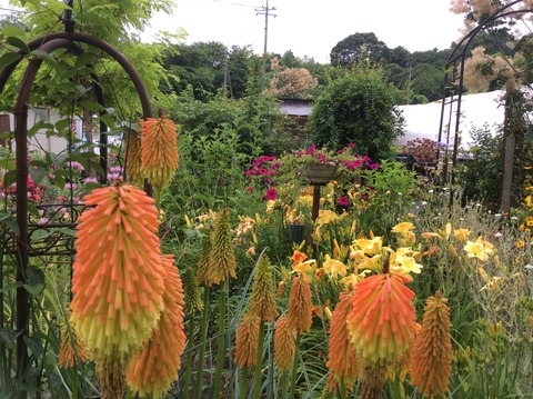 1D2383CE-7AE1-4AD0-A551-4A4FA4114CD5