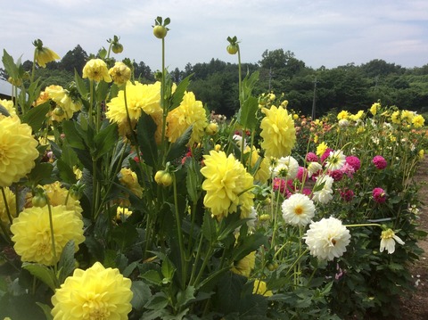 5C6695D5-5672-4E20-8D12-484EBEB3D918