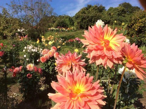 FE8B7CB2-F648-41E6-A6B9-B4C3F6307F5F