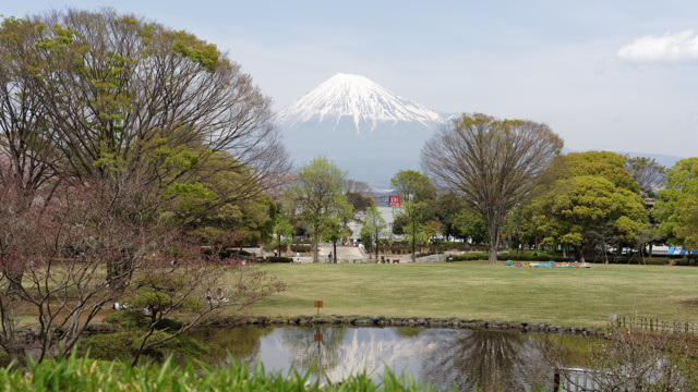 富士市中央公園からの富士山