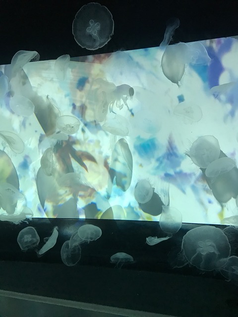 20161221025920