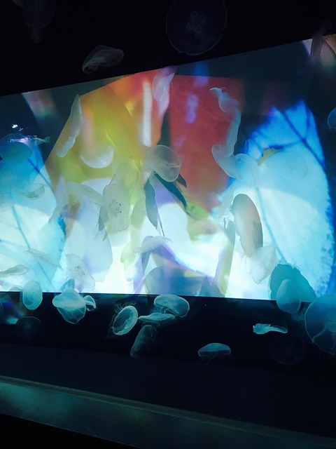 20161221060000