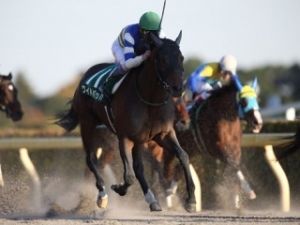 競馬の色々まとめ