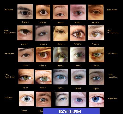 アメリカ便り エリザベス テイラーの眼の色 アメリカ便り