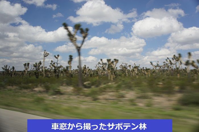 アメリカ便り メキシコ車旅 2 メキシコ荒野3000 を走る アメリカ便り アメリカ便り メキシコ車旅 2 メキシコ荒野3000 を走る アメリカ便り