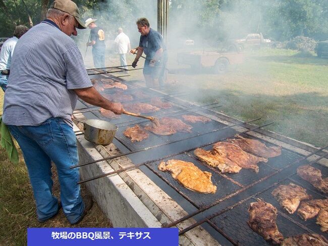 一笑一若 アメリカ小話 馬を笑わせたら 富田さんからのお便りです 私たちの50年