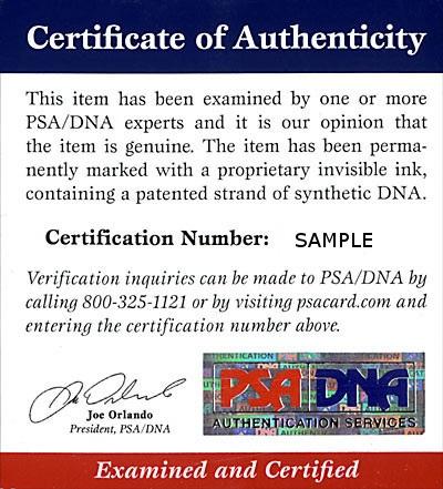15318017