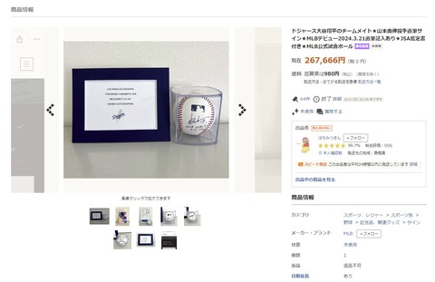 スクリーンショット 2024-05-27 113042