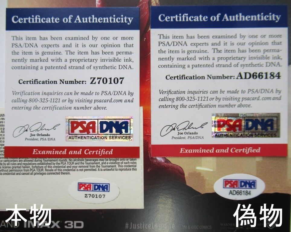 偽PSADNA証明書、偽シリアルナンバーの例 : シードスターズ公式 偽PSADNA証明書、偽シリアルナンバーの例 : シードスターズ公式