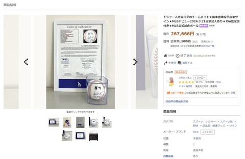 スクリーンショット 2024-05-27 113103