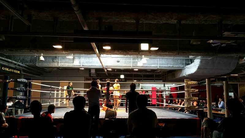 大盛況 ゴールドジム格闘技スクール発表会 ironman blog