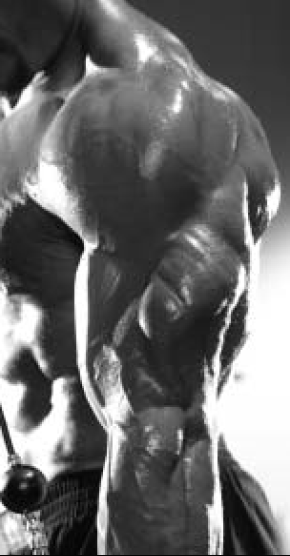 Ironman Blog October 11