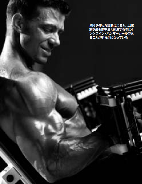 Ironman Blog Imバックナンバー トレーンニングアーカイブ Ironman Blog Imバックナンバー トレーンニングアーカイブ
