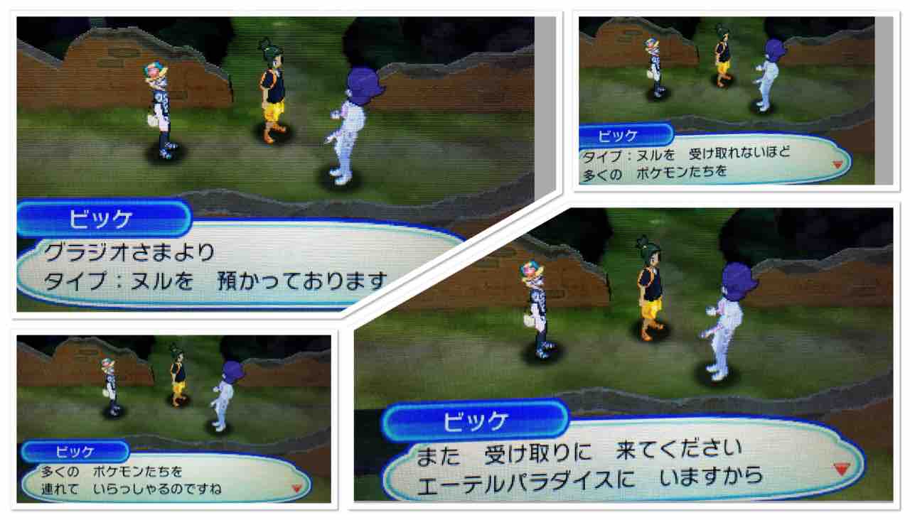 タイプ ヌル 強制譲渡 ポケモン色違い図鑑完成への道 タイプ ヌル 強制譲渡 ポケモン色違い図鑑完成への道