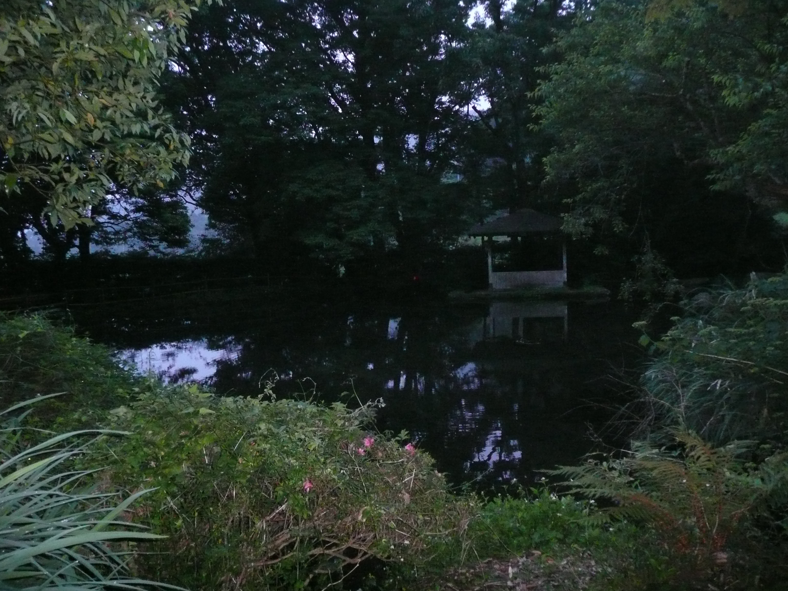 あなたの脳は実際に死ぬ前の人生の映画を見せています