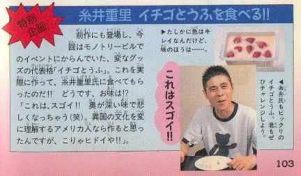 イチゴとうふ Haste Makes Waste In Blog