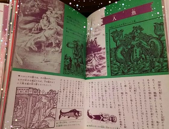 妖怪研究 テーマは 人魚 いちばんくわしい世界妖怪図鑑 Sfエロかわいい人形の桃源郷 妖怪研究 テーマは 人魚 いちばんくわしい世界妖怪図鑑 Sfエロかわいい人形の桃源郷
