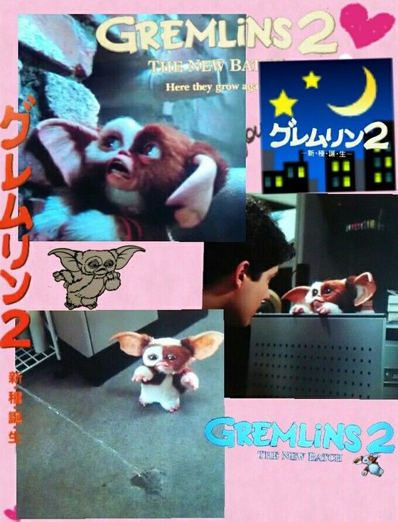 映画 グレムリン２ キャラクター大百科 名前 画像 一覧 Sfエロかわいい人形の桃源郷