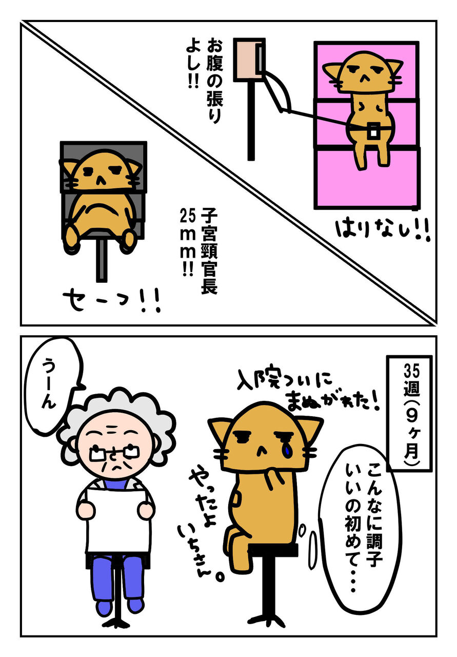 胎盤石化 ３５週 微毒親と再同居することになりました