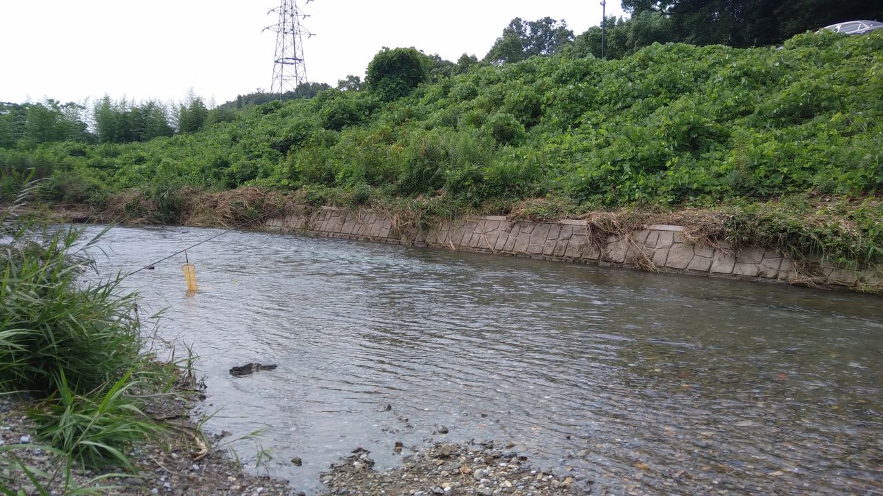 芹川上流へ 子鮎日記 琵琶湖に感謝