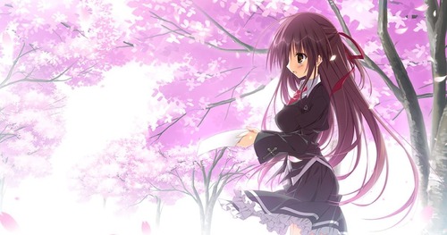 4444bbf397fb33731809622f0896a295-1200x630