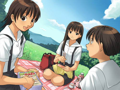 sccd_0003jp-001