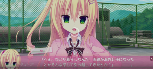 スクリーンショット (239)